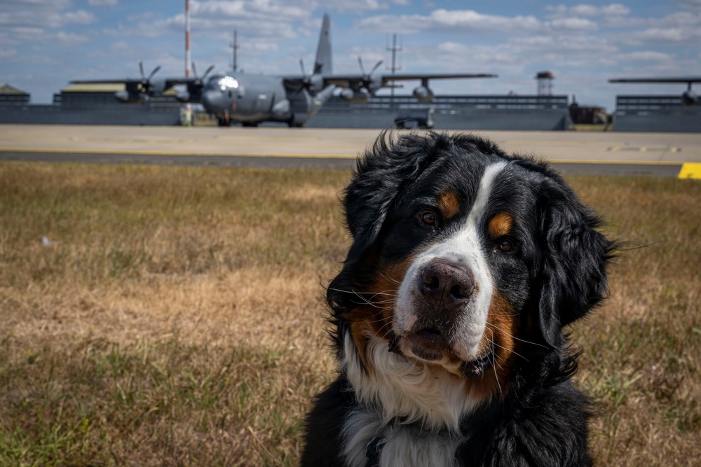 Airman's Best Friend