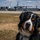 Airman's Best Friend