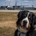 Airman's Best Friend