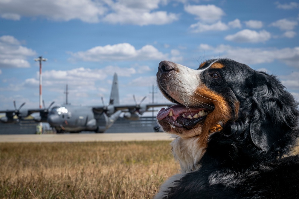 Airman's Best Friend