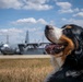 Airman's Best Friend