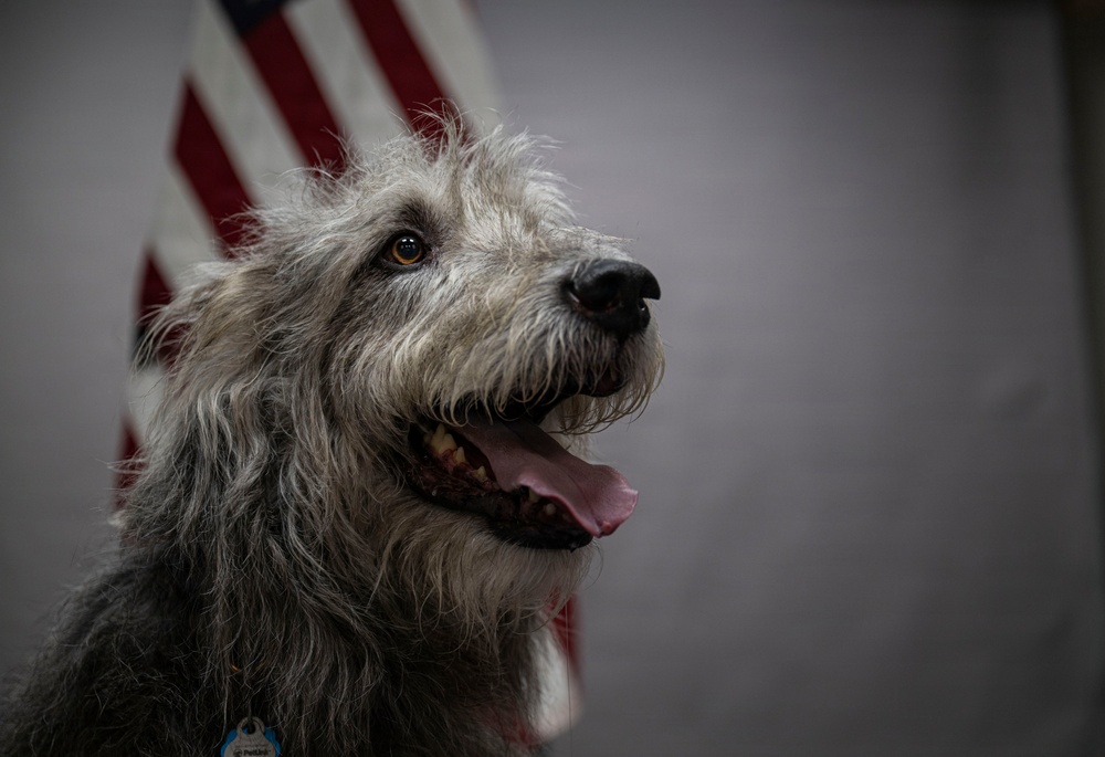 Airman's Best Friend