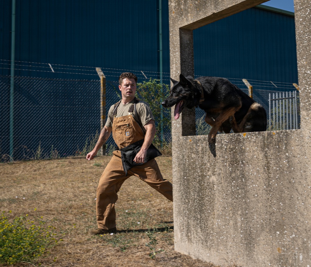 Airman's Best Friend