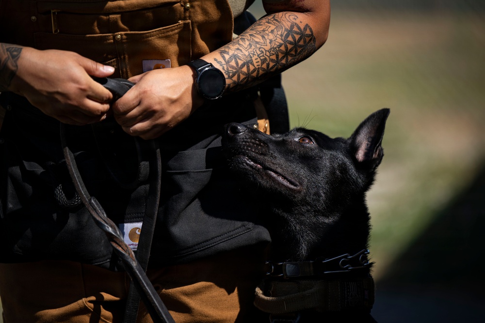 Airman's Best Friend