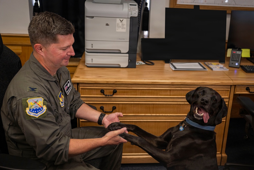 Airman's Best Friend