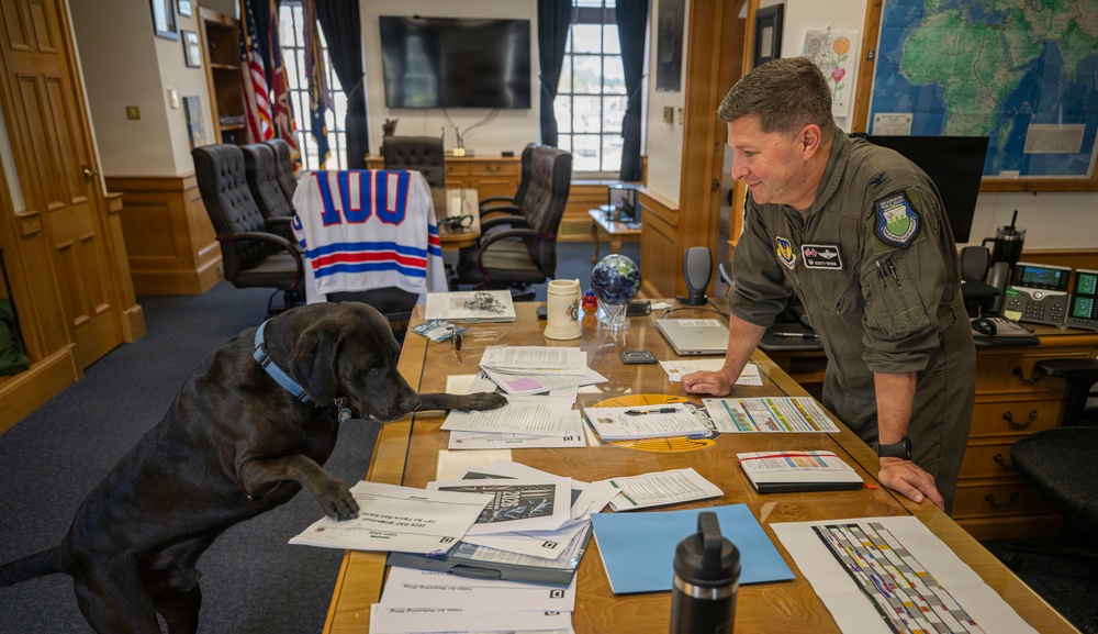 Airman's Best Friend