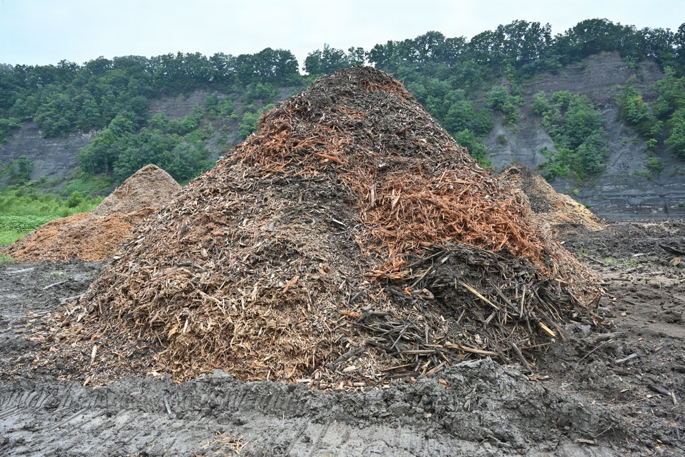 Debris Removal at Mount Morris Dam - 2026