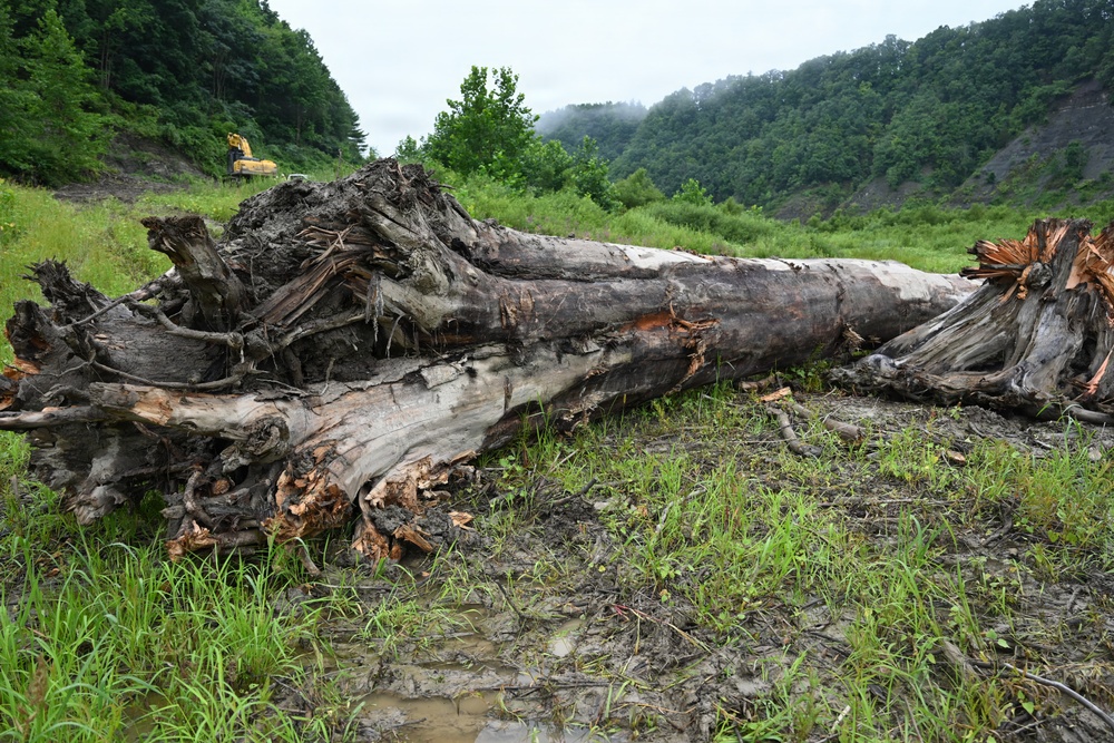 Debris Removal at Mount Morris Dam-2026
