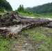 Debris Removal at Mount Morris Dam-2026