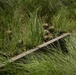 The image shows military personnel in camouflage uniforms and helmets concealed within tall green grass vegetation. They appear to be positioned along or behind a wooden structure, likely a fence or low wall, with their weapons visible. The scene suggests a tactical training exercise or field operation with emphasis on concealment.