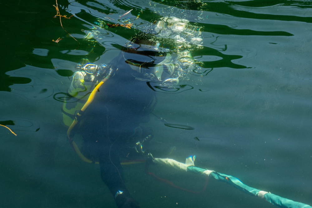 A scuba diver is photographed just below the water surface, captured from an underwater perspective looking upward. The diver is wearing a dark wetsuit with yellow equipment visible, and air bubbles are rising toward the surface. A rope or line extends from the diver toward the lower right of the frame.