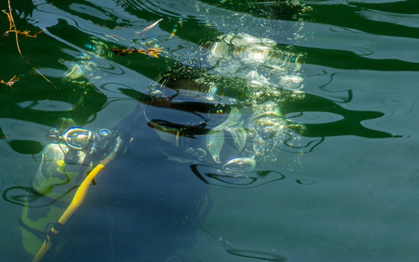 Forged Underwater: PNSY Dive Team Conducts Inspection of New Caisson