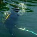 A scuba diver is photographed just below the water surface, captured from an underwater perspective looking upward. The diver is wearing a dark wetsuit with yellow equipment visible, and air bubbles are rising toward the surface. A rope or line extends from the diver toward the lower right of the frame.