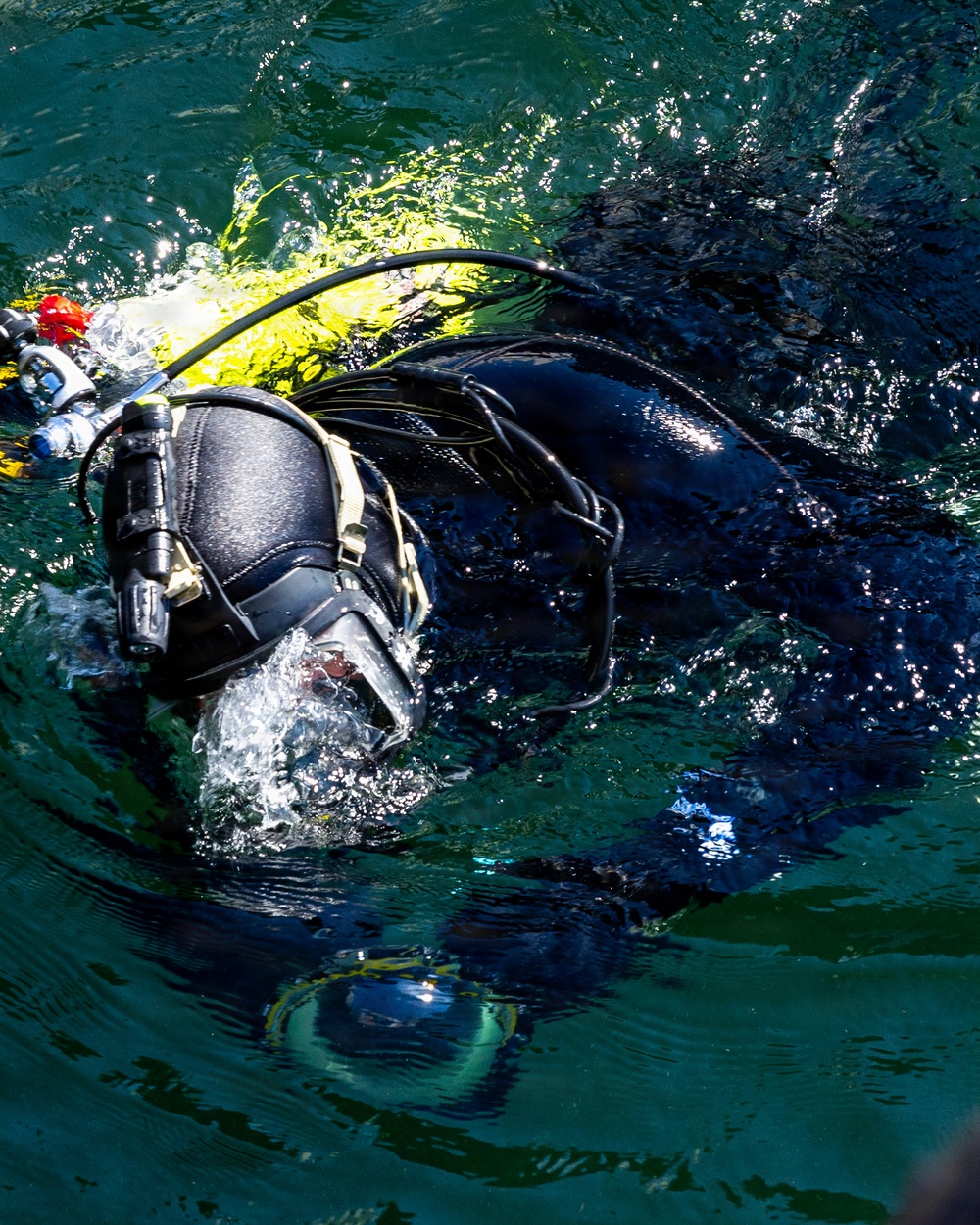 A diver in full scuba gear is partially submerged at the water surface, appearing to be entering or exiting the water. The diver is equipped with a black wetsuit, yellow buoyancy compensator device (BCD), multiple hoses, and a mounted flashlight or instrument on the harness. The water is dark green and choppy, with sunlight reflecting off the surface.