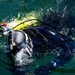 A diver in full scuba gear is partially submerged at the water surface, appearing to be entering or exiting the water. The diver is equipped with a black wetsuit, yellow buoyancy compensator device (BCD), multiple hoses, and a mounted flashlight or instrument on the harness. The water is dark green and choppy, with sunlight reflecting off the surface.