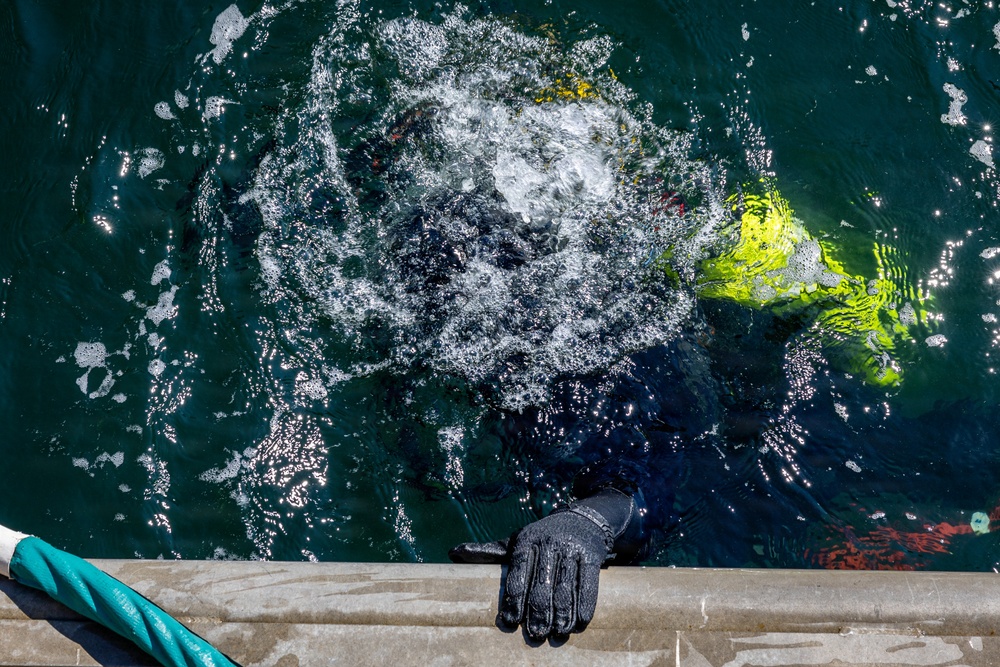 An overhead shot looking down at a body of water, likely a harbor or dock, showing a diver entering or submerging in the water. A black neoprene diving glove is visible gripping the edge of a concrete ledge or dock wall. The water shows significant turbulence and bubbles consistent with a recent water entry, and a bright yellow-green object — likely part of a diver's equipment or suit — is visible beneath the surface.