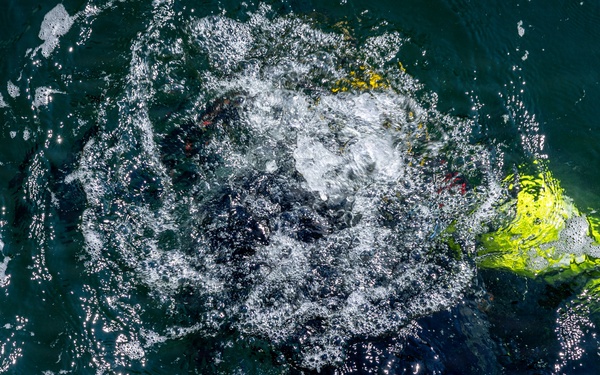Forged Underwater: PNSY Dive Team Conducts Inspection of New Caisson