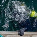 An overhead shot looking down at a body of water, likely a harbor or dock, showing a diver entering or submerging in the water. A black neoprene diving glove is visible gripping the edge of a concrete ledge or dock wall. The water shows significant turbulence and bubbles consistent with a recent water entry, and a bright yellow-green object — likely part of a diver's equipment or suit — is visible beneath the surface.