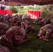 Dover AFB hosts Phoenix Forge 26
