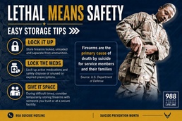 Lethal Means Safety