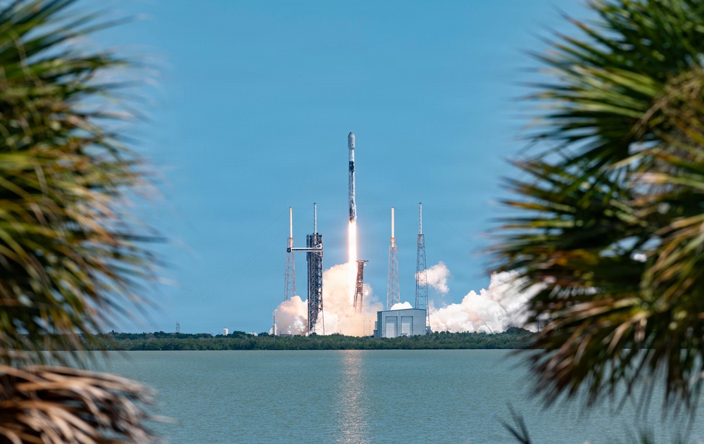 A rocket is captured mid-launch from a coastal launch pad, framed by palm tree fronds in the foreground. The rocket, consistent in design with a SpaceX Falcon 9, ascends with a bright engine plume and billowing white exhaust clouds. The scene is photographed across a body of water, likely at Cape Canaveral, Florida.