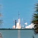 A rocket is captured mid-launch from a coastal launch pad, framed by palm tree fronds in the foreground. The rocket, consistent in design with a SpaceX Falcon 9, ascends with a bright engine plume and billowing white exhaust clouds. The scene is photographed across a body of water, likely at Cape Canaveral, Florida.