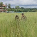 Two individuals in military camouflage are standing in a field of tall green grass, partially concealed by the vegetation. One person is wearing a ghillie suit covered in natural vegetation material, while the other wears standard camouflage uniform with a boonie hat. In the background, a multi-story building with terracotta roof tiles and tropical palm trees are visible under an overcast sky.