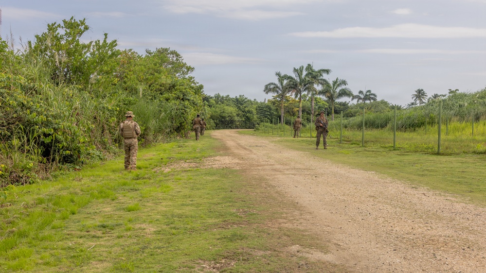 The image shows multiple military or security personnel in camouflage uniforms patrolling along a dirt road in a tropical environment. The soldiers are spread out along both sides of the path, suggesting a security patrol or training exercise. The lush vegetation, palm trees, and humid-looking landscape suggest a tropical or subtropical region.