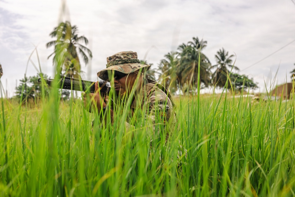 A soldier in camouflage uniform and boonie hat is positioned low in tall green grass, aiming a rifle in what appears to be a tactical field exercise or patrol. The setting is a tropical or subtropical environment, evidenced by palm trees and lush vegetation in the background. The low camera angle from ground level emphasizes the concealment position of the soldier.