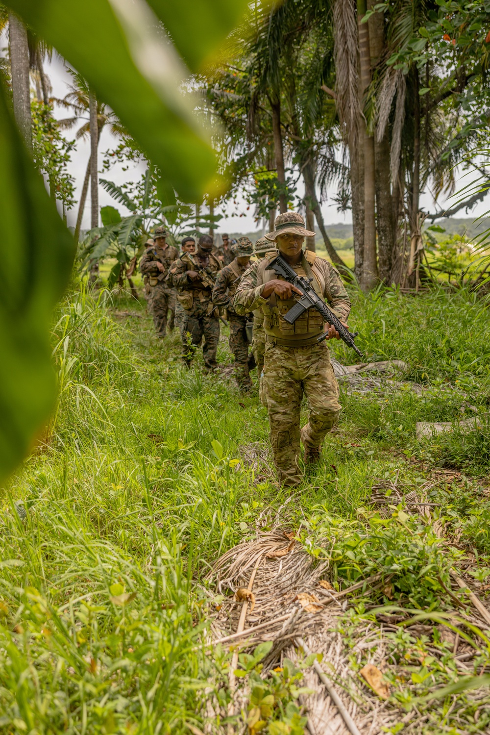A column of armed military personnel in camouflage uniforms patrol single-file along a narrow jungle trail surrounded by dense tropical vegetation including palm trees and broad-leafed plants. The lead soldier wears a boonie hat and MultiCam/OCP-pattern uniform while carrying what appears to be an M4-style carbine rifle. The group behind him appears to wear a mix of camouflage patterns, suggesting a possible joint or multinational training exercise.