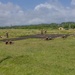 Military personnel in camouflage uniforms are conducting a prone shooting or tactical training exercise on and around a dark paved surface in an open grassy field. Several soldiers are lying in the prone position while two or three individuals appear to be standing as instructors or supervisors. The setting includes a tropical or subtropical environment with dense tree lines, military tents, and support vehicles visible in the background.