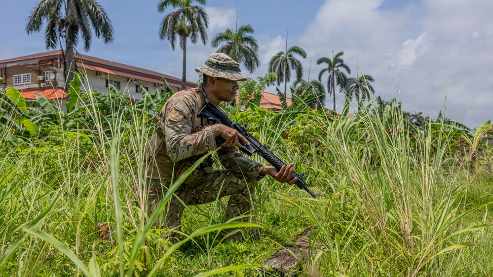 A soldier in camouflage uniform and boonie hat is crouching in tall grass while holding a rifle in a low-ready position. The setting appears to be a tropical or subtropical environment, indicated by palm trees, dense vegetation, and a building with a red roof in the background. The scene suggests a military training exercise or patrol operation.