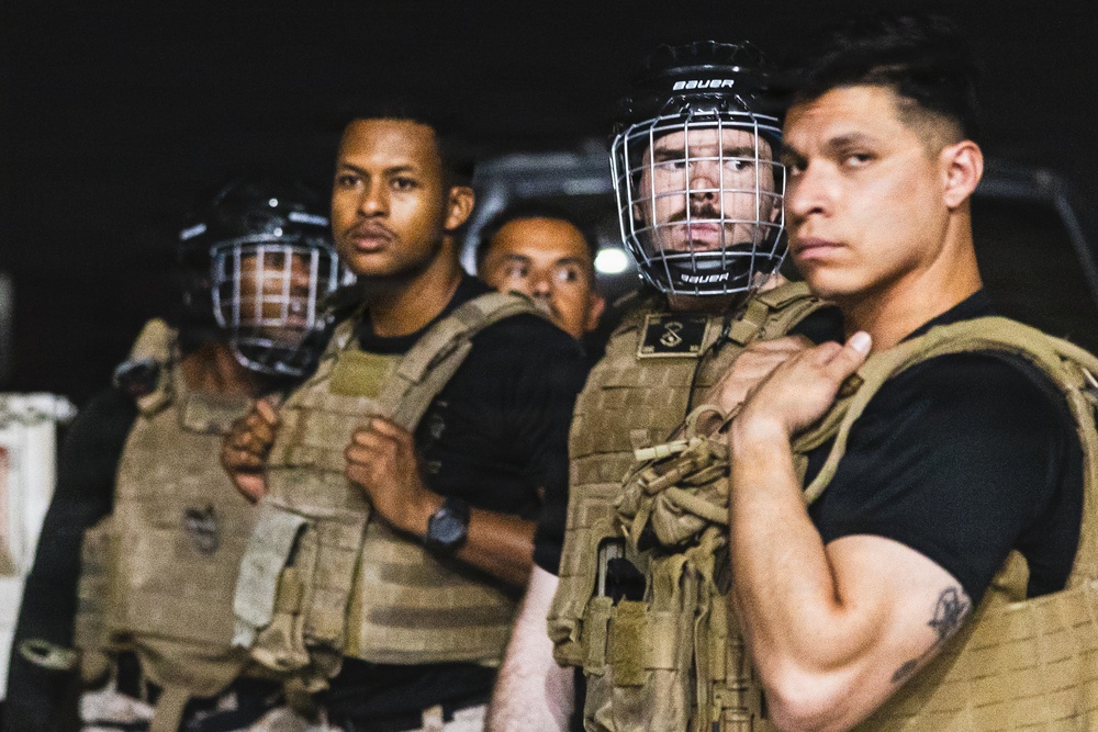 The image shows a group of individuals wearing tactical/plate carrier vests and Bauer hockey helmets with cage face guards, standing in a line at night. They appear to be in a security or crowd-control formation, dressed in black shirts with tan/coyote-colored plate carriers. The setting is dark, suggesting a nighttime outdoor environment.