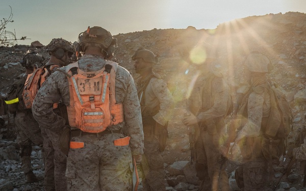 3D LAR conducts Platoon Attacks