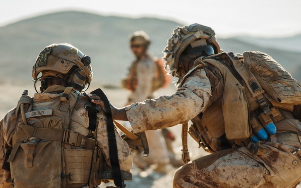 3D LAR conducts Platoon Attacks