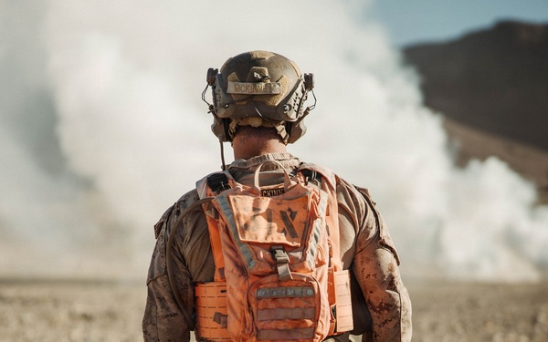 3D LAR conducts Platoon Attacks