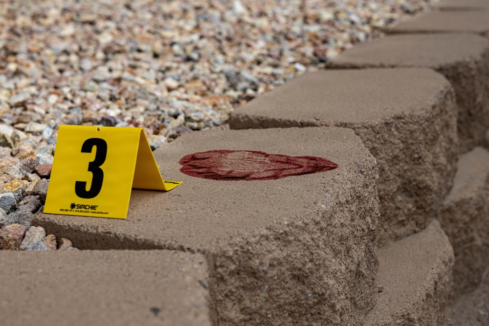 The image depicts a forensic crime scene evidence marker numbered '3', manufactured by Sirchie, placed adjacent to a dark reddish-brown stain on a concrete paver step. The stain appears irregular in shape and is consistent with a biological fluid deposit. The scene is set outdoors on a landscaped stairway bordered by decorative gravel.