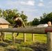 Military personnel in camouflage uniforms are navigating a wooden log obstacle course on a grassy training field. At least three individuals are visible, with one actively climbing over a large horizontal log beam supported by vertical wooden posts. The setting appears to be a military training facility during daylight hours with warm golden light suggesting early morning or late afternoon.