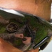 A close-up photograph of a person wearing olive/green-framed tactical sunglasses, with a detailed reflection visible in the lens. The reflection shows a military personnel in camouflage uniform handling a rifle and ammunition on a grassy area, with a helmet and gear visible on the ground. The creative composition uses the sunglass lens as a mirror to capture the scene.