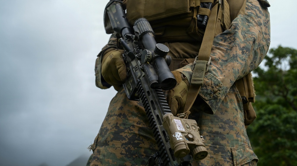 A military service member in MARPAT (Marine pattern) digital camouflage uniform is holding a modern assault rifle with multiple tactical accessories. The image is a close-up torso shot focusing on the weapon and gear, with a overcast sky and vegetation visible in the background. The equipment and uniform pattern are consistent with U.S. Marine Corps kit.