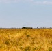 A wide open field of dry, golden-yellow grass or grain stretches across the foreground under a pale blue sky. In the far distance, a dark-colored military-style vehicle or heavy truck is partially visible above the vegetation line, along with what appear to be distant trees, structures, and a communications tower on the horizon. The scene suggests a flat, arid or semi-arid landscape, possibly a steppe or agricultural plain.