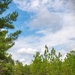 A rural dirt road with orange-red clay soil winds through a pine forest under a partly cloudy blue sky. A military-style or off-road vehicle is visible on the road in the middle distance, and a small drone or aircraft is visible in the upper sky. The scene suggests an outdoor operational or recreational activity in a southeastern U.S. pine woodland environment.