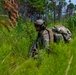 A soldier in full combat gear moves through dense, tall grass in a wooded training or operational environment. The individual is equipped with a large rucksack, tactical helmet, hearing protection, sunglasses, and carries what appears to be a belt-fed machine gun. The lush green vegetation and pine trees in the background suggest a southeastern United States environment, likely during summer.