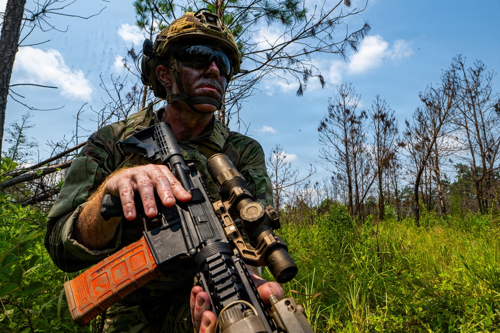 A soldier in full combat gear is positioned in a wooded, grassy area while holding an assault rifle with optical scope and accessories. The individual is wearing camouflage uniform, tactical helmet with netting, dark face paint, and reflective sunglasses. The setting appears to be a training exercise or field operation in a sparse pine forest environment.