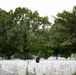 Military Funeral Honors are Conducted for U.S. Army Sgt. Janice Montalto in Section 60