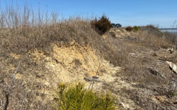 NAVFAC Washington Completes $4.5M in Shoreline and Stream Stabilization Efforts