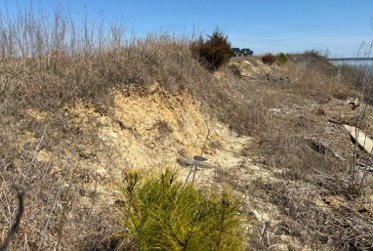 NAVFAC Washington Completes $4.5M in Shoreline and Stream Stabilization Efforts
