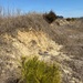 NAVFAC Washington Completes $4.5M in Shoreline and Stream Stabilization Efforts