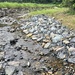 NAVFAC Washington Completes $4.5M in Shoreline and Stream Stabilization Efforts
