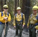 Three wildland firefighters are posing together in a forested area, wearing standard Nomex fire-resistant yellow shirts and green pants with yellow hard hats. Their gear shows varying degrees of dirt and soot, indicating active field work. They appear to be taking a break and are smiling at the camera.